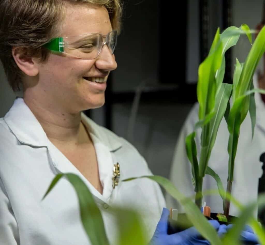 The Crop Microbiome Holds the Future of Fertilizer