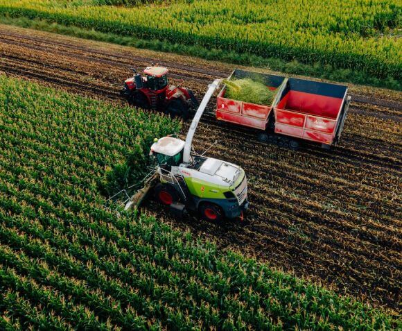 Nitrogen for Corn Silage