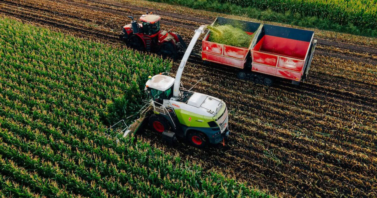 Pivot Bio PROVEN 40 | A microbial fertilizer for Corn Silage