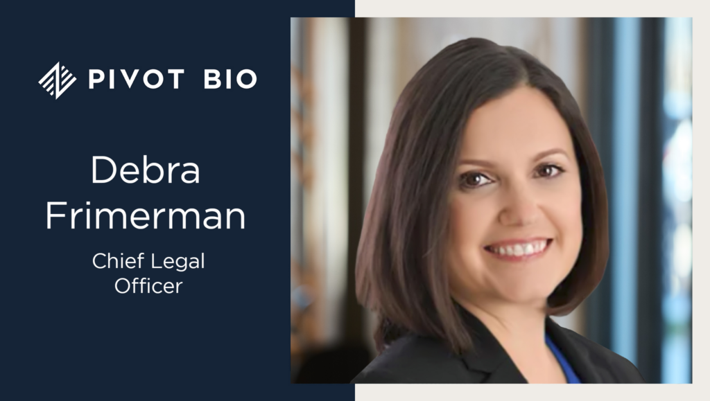 Debra Frimerman