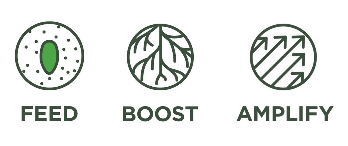feed, boost and amplify
