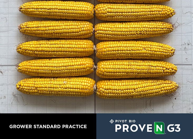 Untreated v. Treated - Sac City, Iowa