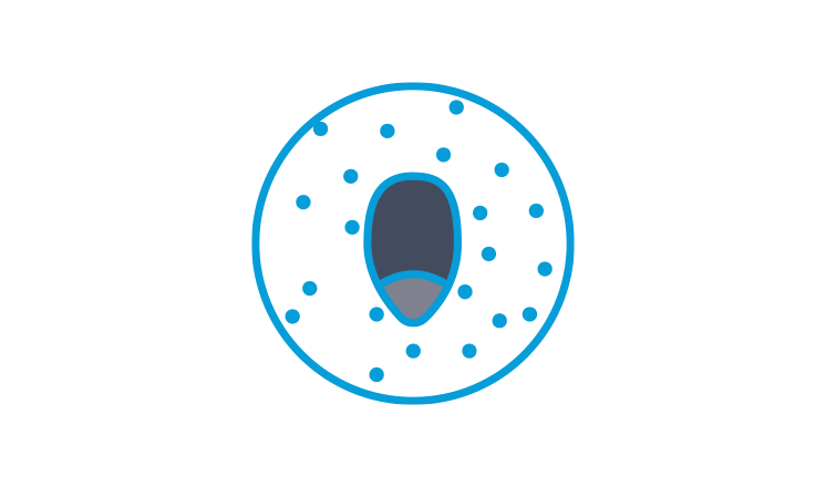 seed in ground illustration