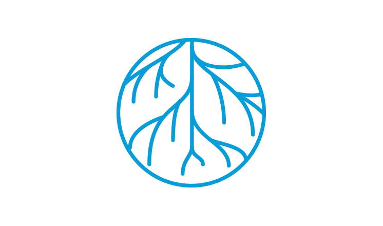 roots in ground illustration