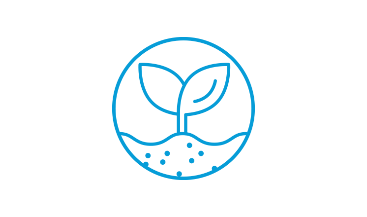 plant emerging from soil illustration