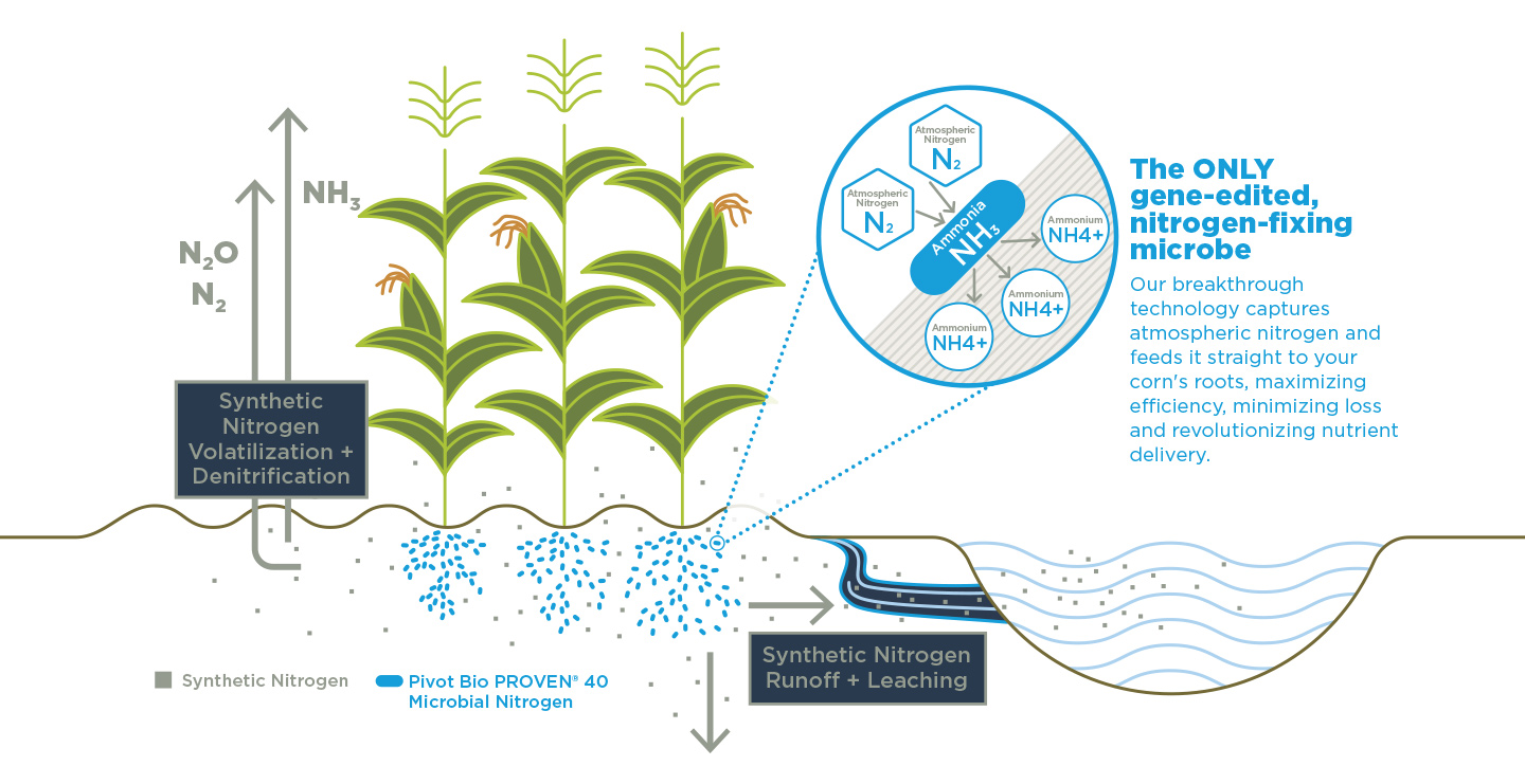 New Mode of Action Infographic