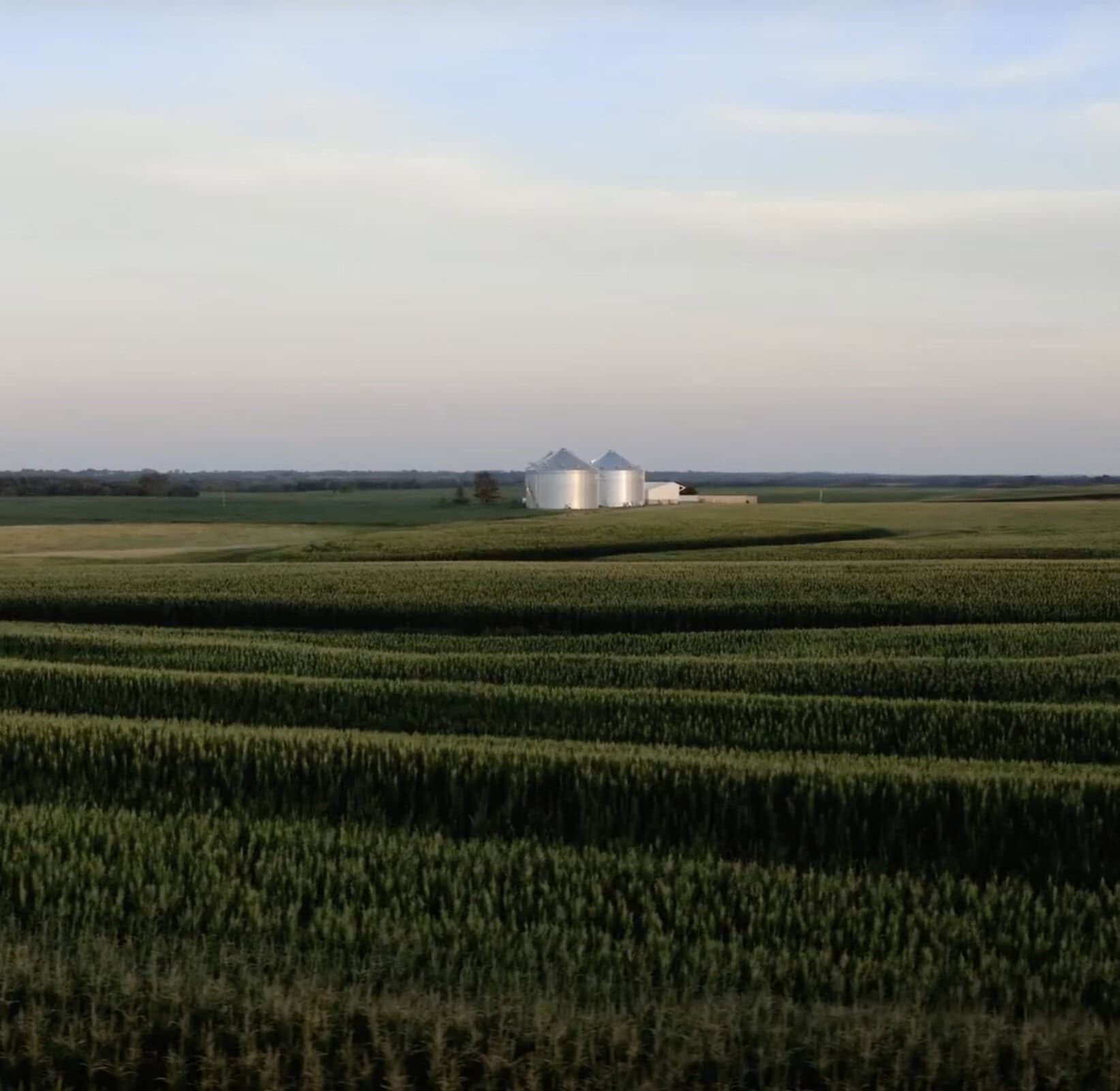 silos in the distance with surrounding cornfields & sky