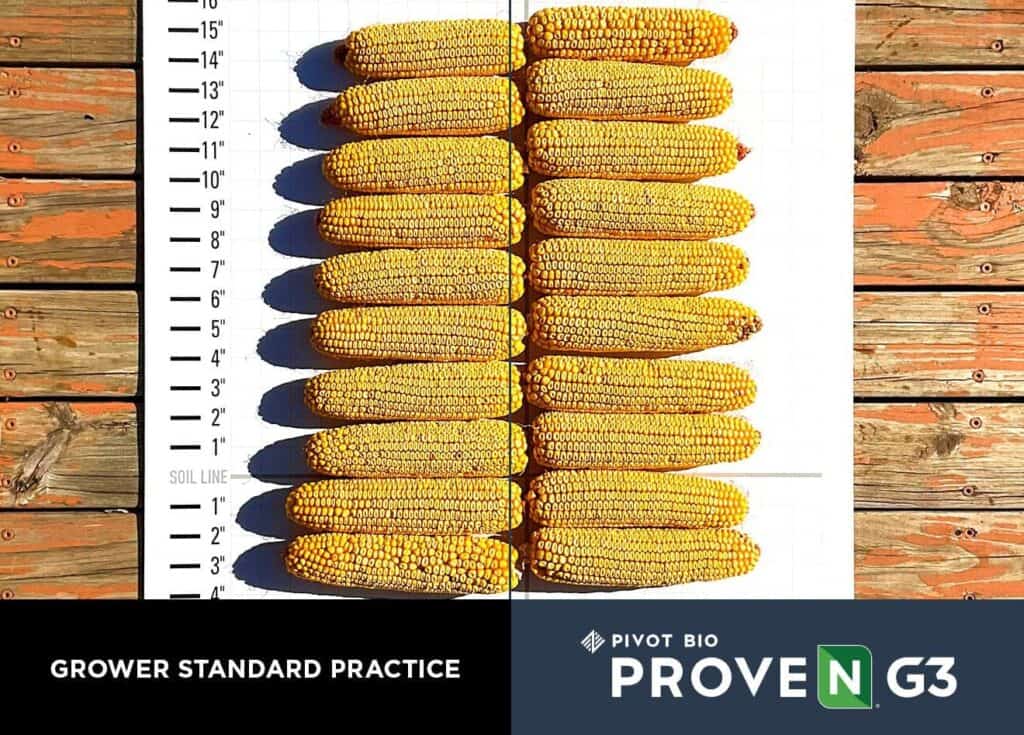 Latest Field Results from Pivot Bio PROVEN® G3 | Pivot Bio