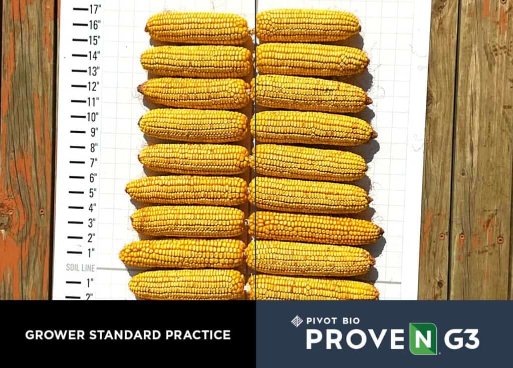 Latest Field Results from Pivot Bio PROVEN® G3 | Pivot Bio