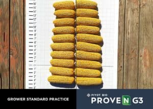 Latest Field Results from Pivot Bio PROVEN® G3 | Pivot Bio