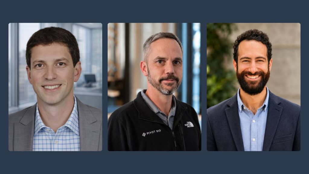 headshots of our new team members