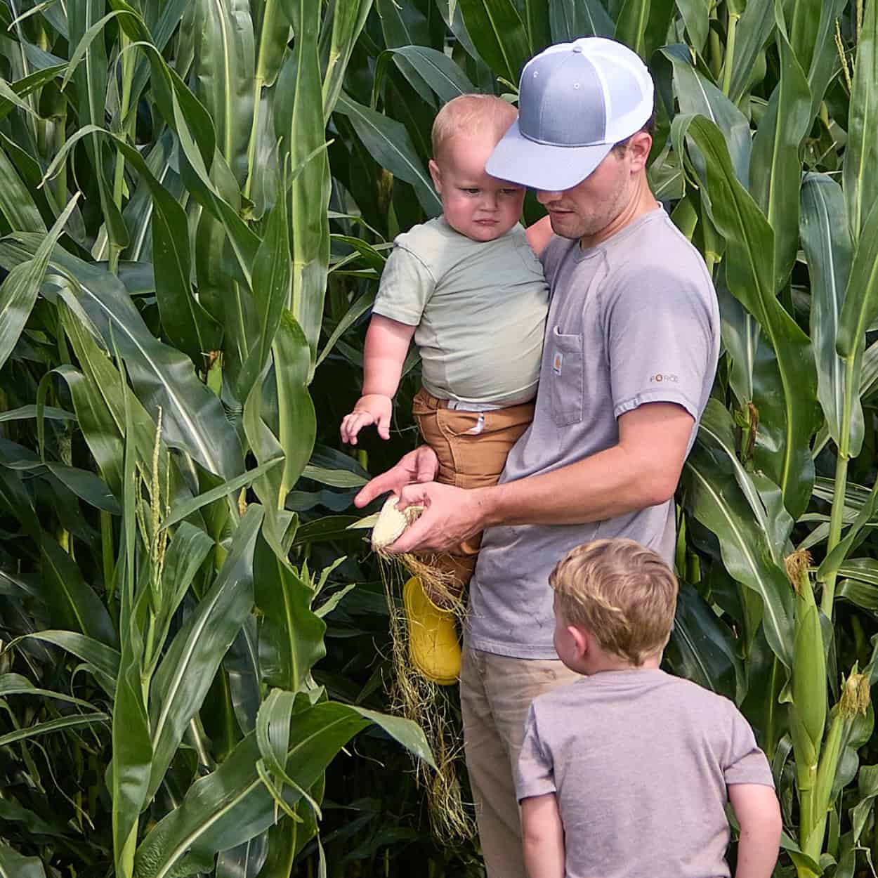 a family in a corn field