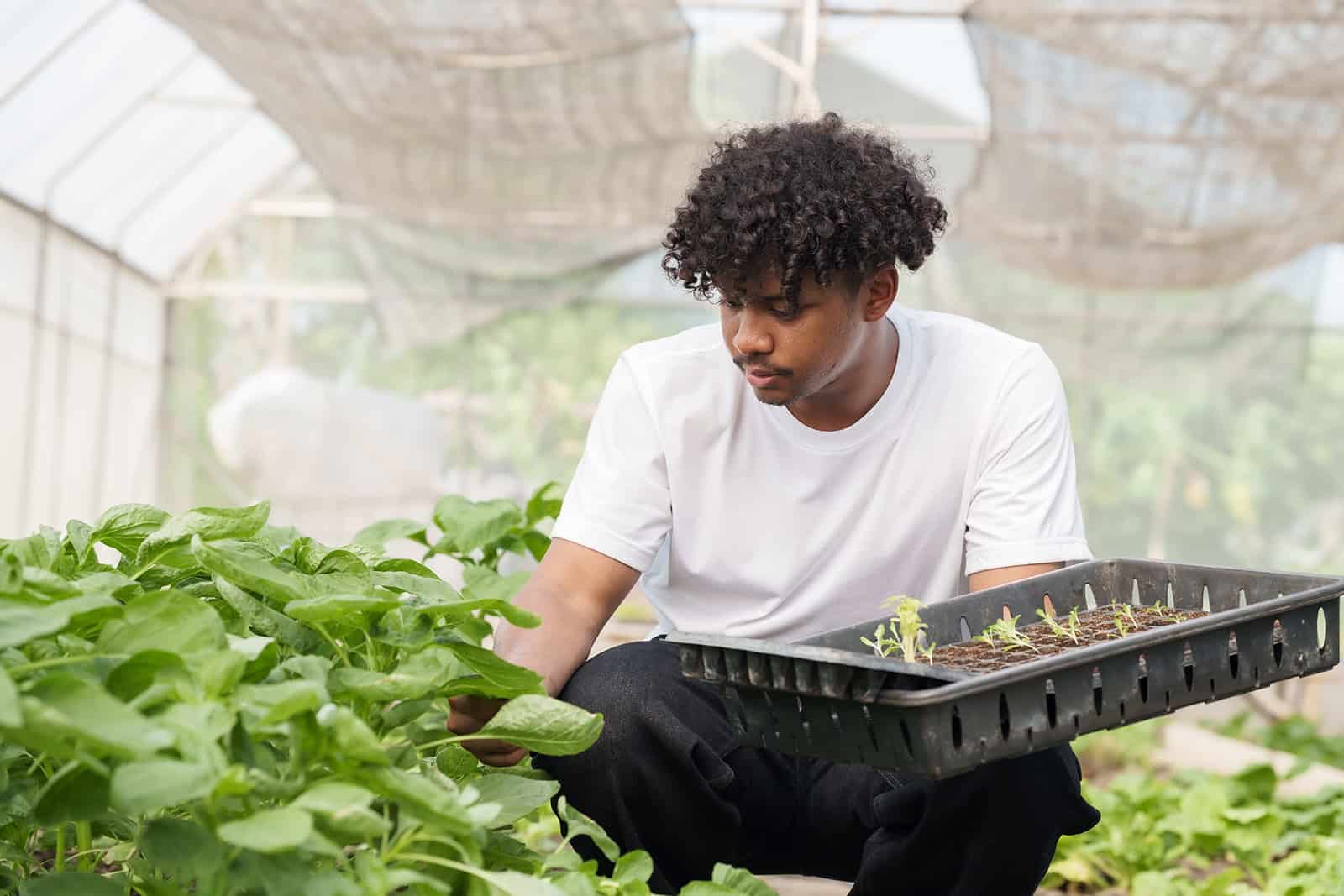 a student in a greenhouse during an agronomy class